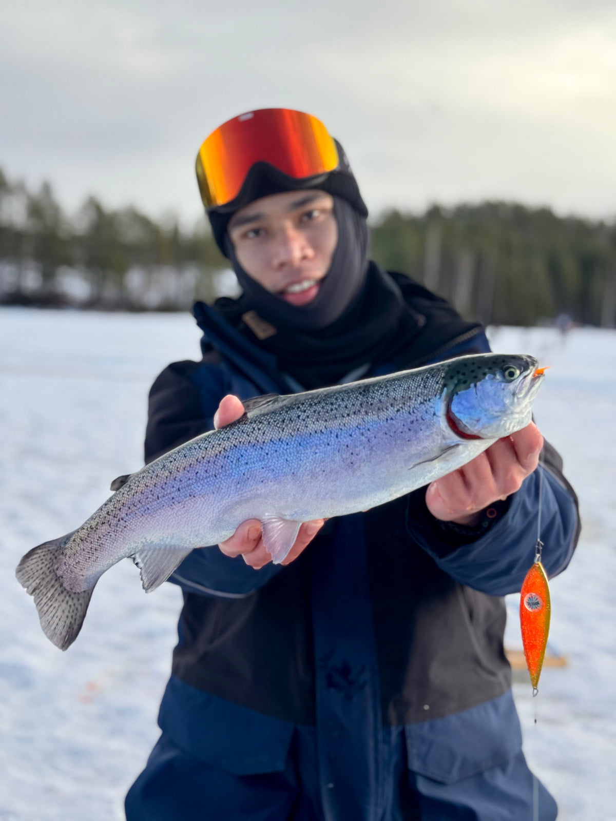 Kirjolohipilkit