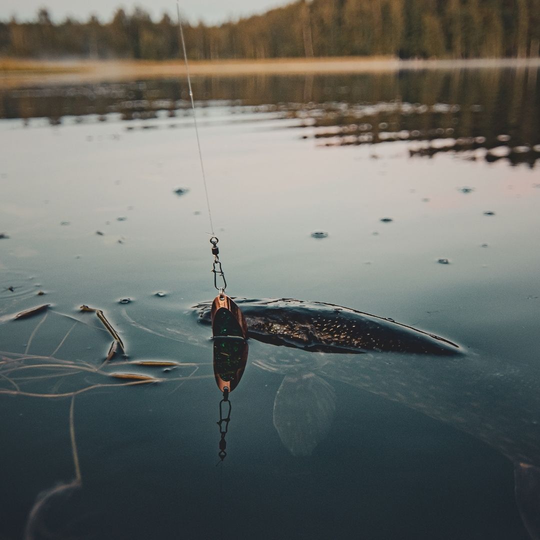 Norolan Light Spoon 11 cm